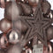 House of Seasons Plastic Kerstballen Set met Piek - 40 Stuks - Ø8 cm - Lichtroze