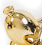 Housevitamin ballon hondje Teckel goud