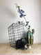 Housevitamin Camera Tafel Lamp - Zwart - 15 x 11cm E27 Fitting - Design - Eyecather