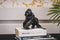 housevitamin gorilla - goud