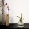 Housevitamin Kaartenhouder | Clip blank hout