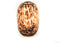 housevitamin panter vaas