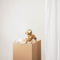 Housevitamin TECKEL BEELD - Who Let The Dogs Out? Woof Woof Woof! - Polyresin - 35x23x19cm Goud