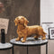 Housevitamin TECKEL BEELD - Who Let The Dogs Out? Woof Woof Woof! - Polyresin - 35x23x19cm Goud