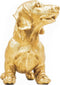 Housevitamin TECKEL BEELD - Who Let The Dogs Out? Woof Woof Woof! - Polyresin - 35x23x19cm Goud
