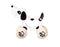 Houten Pchanka Dog Dalmatiër Classic World