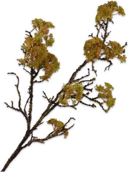 Houttak m/mos l101 cm groen