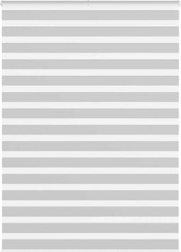 vidaXL - Zebra - rolgordijn - 155x200 - cm - stofbreedte - 150,9 - cm - lichtgrijs