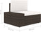 vidaXL - Tweezitsbank - sectioneel - poly - rattan - bruin