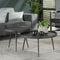 Hoyz - Salontafel Rond Metallic - Zwart - Set van 2 - 76x76x40