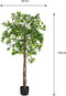 Mica Decorations Ficus Kunstplant in Bloempot - H150 x Ø50 cm - Groen