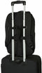 Targus TBB643GL - Rugzak - Voor laptops tot 40,6 cm (16