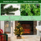 Coast Verlichte Kunstmatige Minikerstboom - 48 cm - 96 Takuiteinden - Groen/Natuur - 20 LED