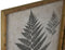 Schilderij Home ESPRIT Vaatplant Cottage 50 x 2,5 x 70 cm (4 Stuks)
