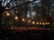 HQ-Power Lichtsnoer, zonder lampen, voor binnen en buiten, 20 x E27, 10 m
