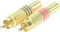 HQ-Power Rca-plug - 2 x mannelijk