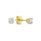 New Bling HIN00336 - Oorbellen Dames - Gouden