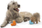 Zogoflex Tux hondenfrisbee - L - Tangerine Oranje