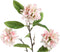 PTMD Tuinbloem Kunsttak - 36 x 16 x 76 cm - Roze