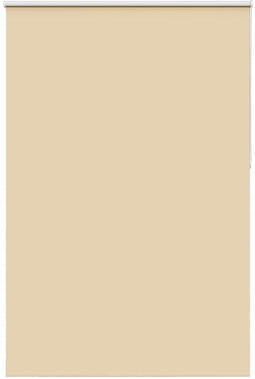 vidaXL - Rolgordijn - verduisterend - 165x210 - cm - stofbreedte - 161,6 - cm - beige