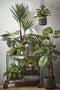 Mica Decorations Bonaparte Plantenmand - H20 x Ø20 cm - Jute - Zwart