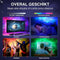 Swiftvein Astronaut - Sterren Projector - 8 kleurencombinaties met afstandsbediening - Wit