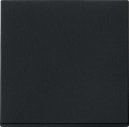 Gira Systeem 55 Besturingselement/Centrale plaat Schakelmateriaal - 0296005 - E2YDS