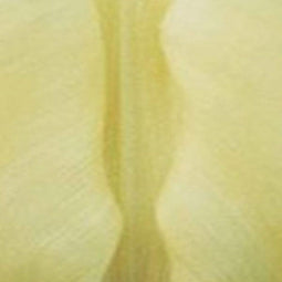 JUB - Tulipa Creme Fraiche