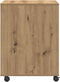 vidaXL - Printerstandaard - met - wielen - Artisan - Eiken - 60x50x67 - cm