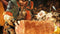 Capcom Monster Hunter Wilds - PS5 - Actie RPG - Cross-play Multiplayer