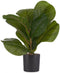 Decoratieve plant Plastic (9,5 x 42 x 9,5 cm)