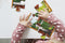 Gruffalo puzzel 4 in 1 puzzel educatief peuter speelgoed - kinderpuzzel 4x6x9x16 stukjes leren puzzelen - 3 jaar en ouder - Bambolino Toys