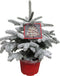 Picea sneeuw – ↨ 85cm – ⌀ 28cm
