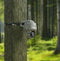 Reolink KEEN Ranger PT - Bewakingscamera - 2560x1440 Quad HD - Bewegingsdetectie IR-nachtzicht (10m)
