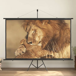 vidaXL - Projectiescherm - 16:9 - 100''