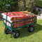 Draper Tools Tuinwagen staalgaas 86,5x46,5x21 cm groen en zwart