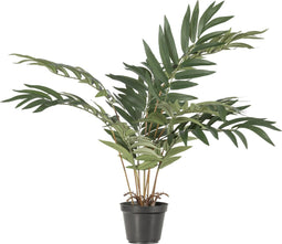 WOOOD Kwai Kunstplant - Plastic - Groen - 68x51x50