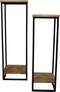 HSM-Collection-2-delige-Plantenstandaardset-30x30x90-cm