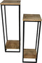 HSM-Collection-2-delige-Plantenstandaardset-30x30x90-cm