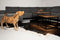 HSM-Collection-2-delige-Salontafelset-vierkant