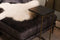 HSM Collection bijzettafel Marseille - 32x32x65 cm - Zwart/goud - Marmer/ijzer