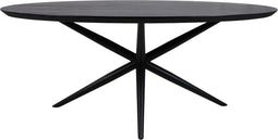HSM Collection-Danish Ovale Eettafel-2-220x100x76-Zwart-Mango/Metaal