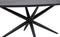 HSM Collection-Danish Ovale Eettafel-2-220x100x76-Zwart-Mango/Metaal