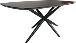 HSM Collection-Danish Ovale Eettafel-200x100x4-Zwart-Mango/Metaal