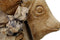 HSM Collection-Decoratie Vis -45x11x55-Naturel-Teak