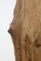HSM Collection - Decoratiebeeld tak op voet - teak - landelijk - 35*25*187