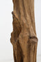 HSM Collection - Decoratiebeeld tak op voet - teak - landelijk - 35*25*187