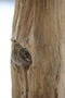 HSM Collection - Decoratiebeeld tak op voet - teak - landelijk - 35*25*187
