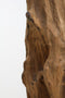 HSM Collection - Decoratiebeeld tak op voet - teak - landelijk - 35*25*187