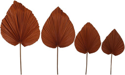 HSM Collection-Decoratief Palmblad S/4-120x43x1-Cognac/Naturel-Palmblad